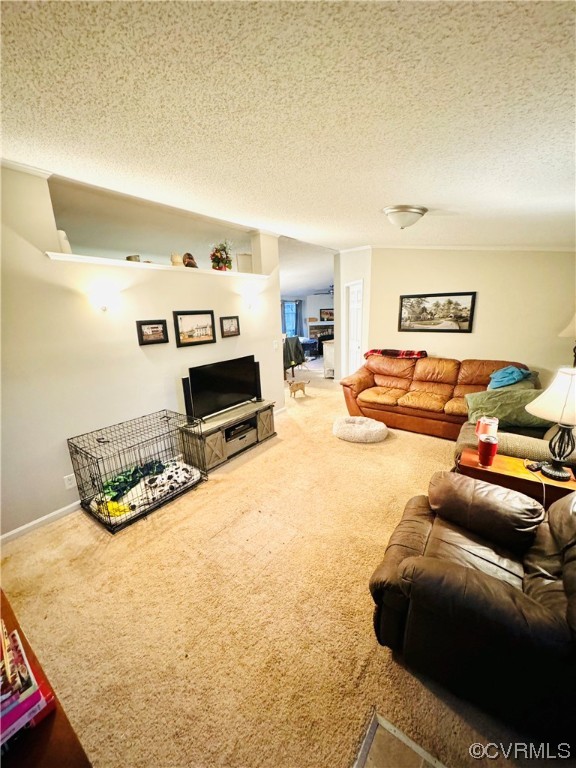 10718 West River Road Palmyra, VA 22963 - Photo 2 of 17 Gallery Image 2