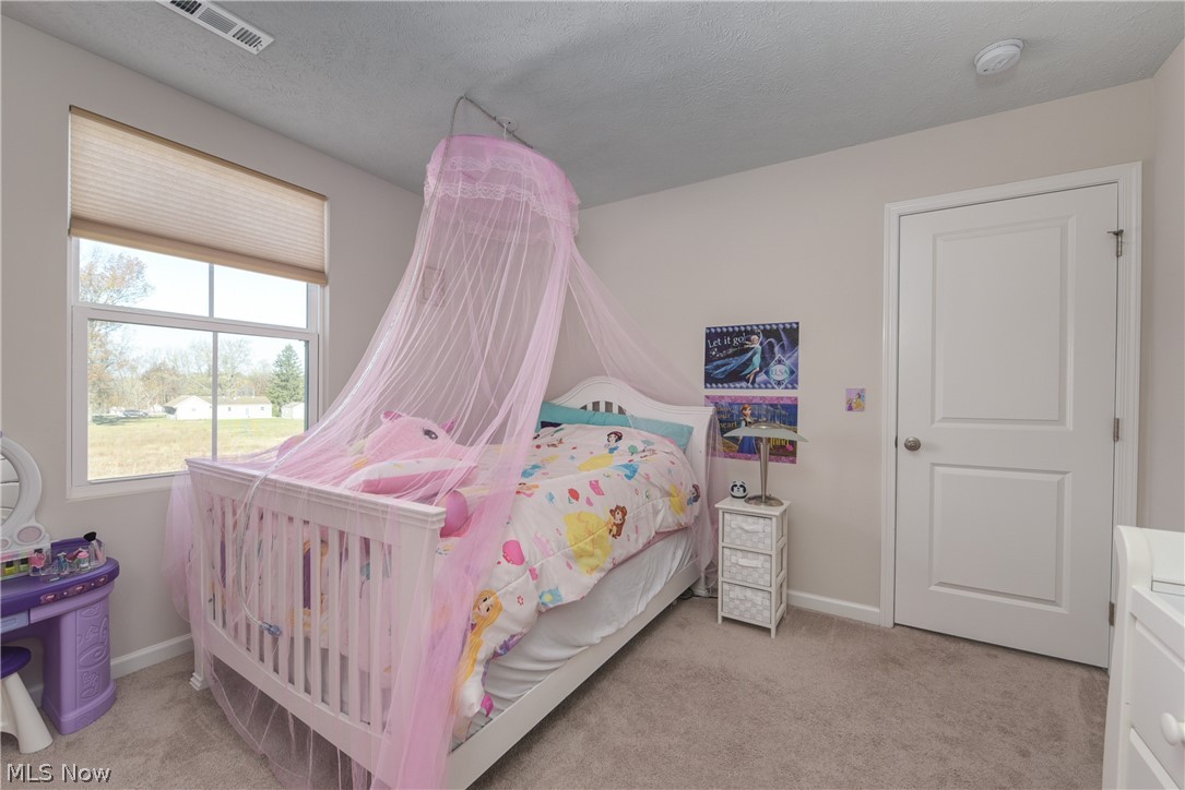 147 Springvale Drive Amherst, OH 44001 - Photo 10 of 19