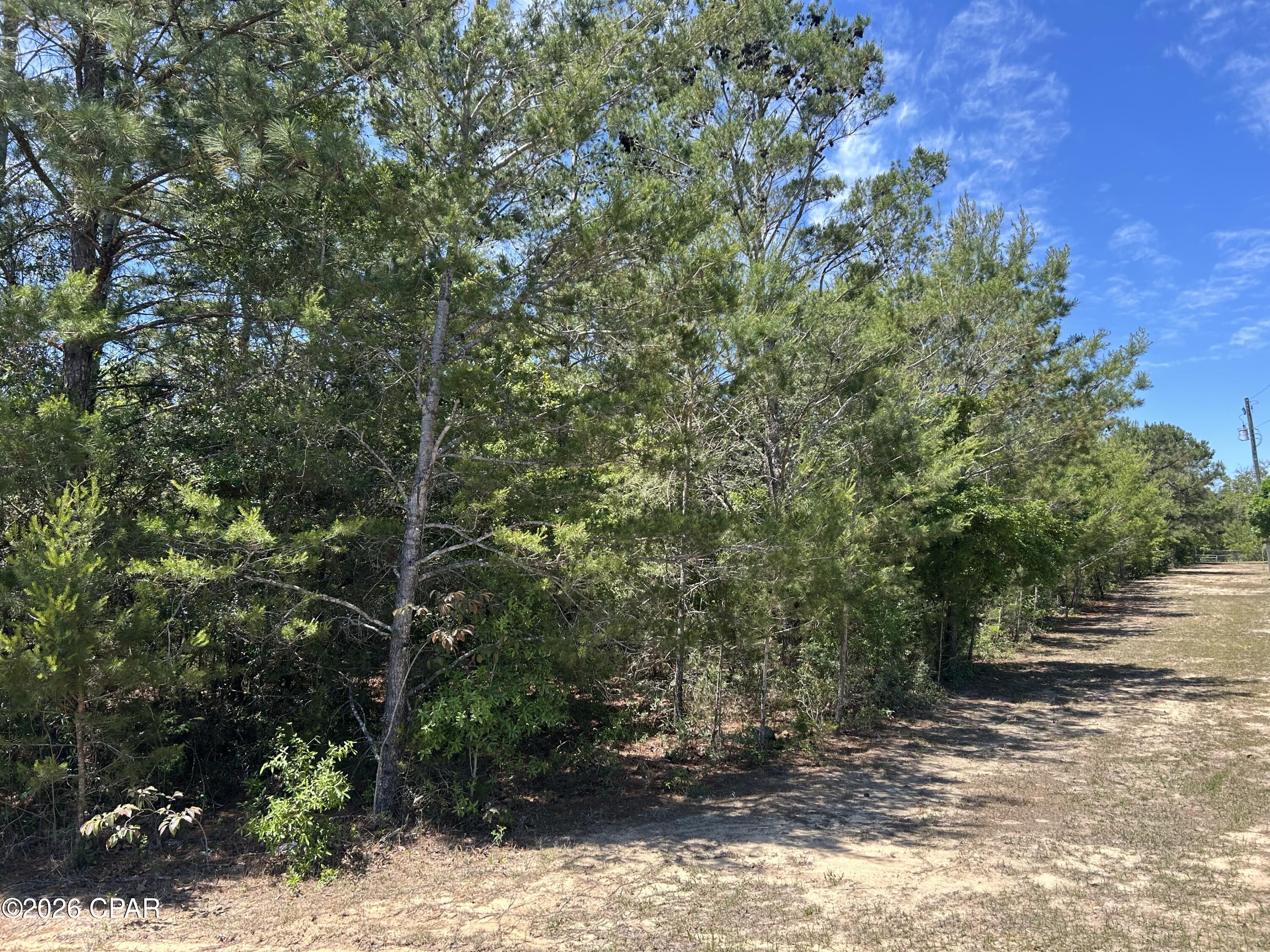 0 Bonnett Pond Road Chipley, FL 32428 - Photo 3 of 9