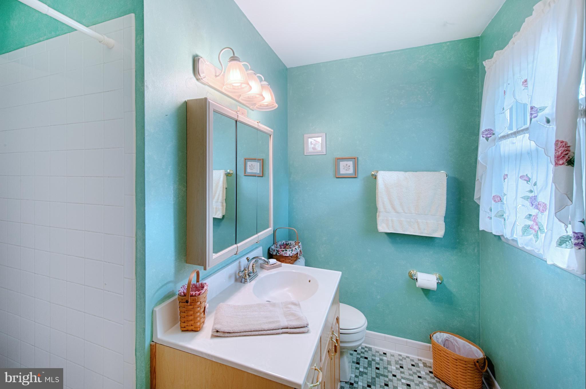 536 Stratford Road Fallston, MD 21047 - Photo 16 of 30 a bathroom with a sink mirror and vanity