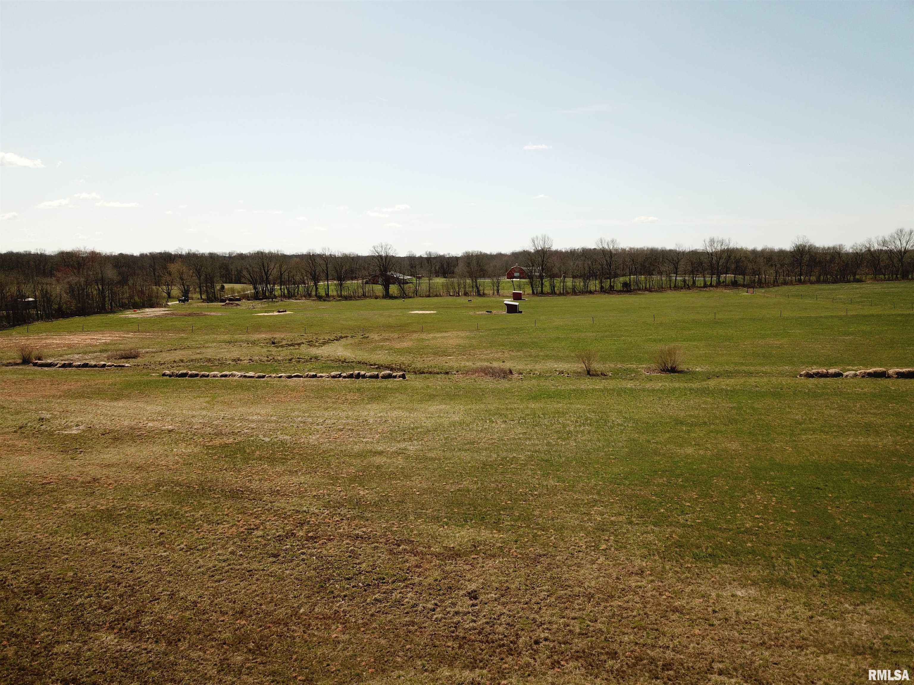 0 Buchanan Road Iuka, IL 62849 - Photo 5 of 5