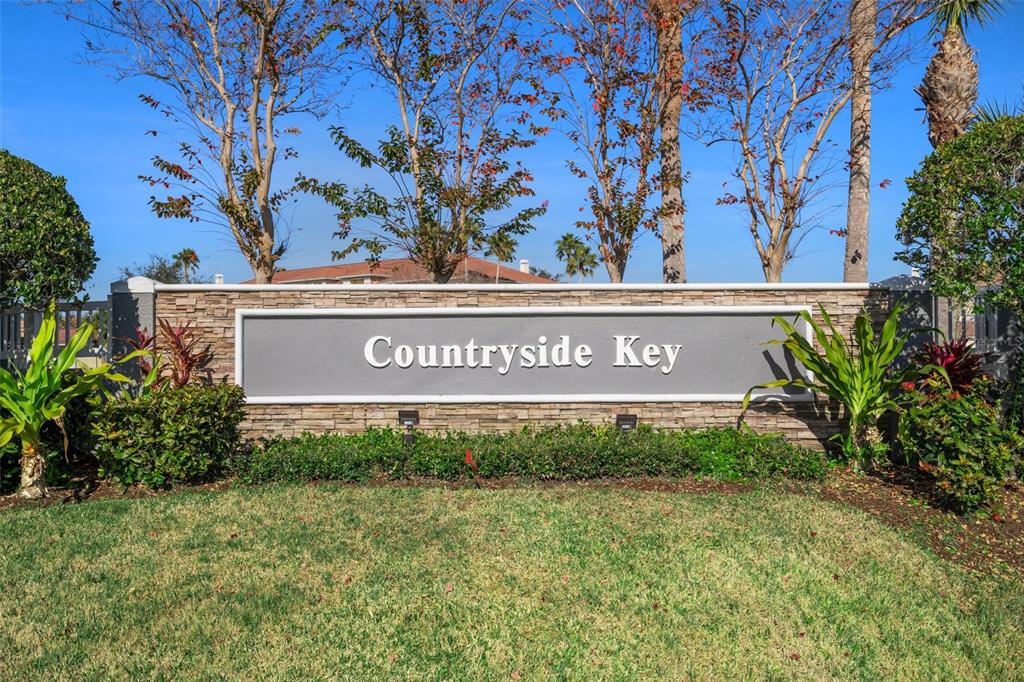 388 Countryside Key Boulevard Oldsmar, FL 34677 - Photo 29 of 33