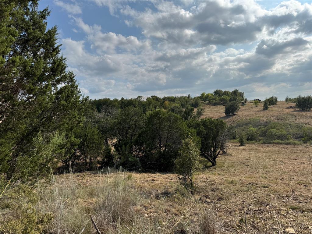 622 Caprock Court Graford, TX 76449 - Photo 18 of 26 a view of a yard with trees in back