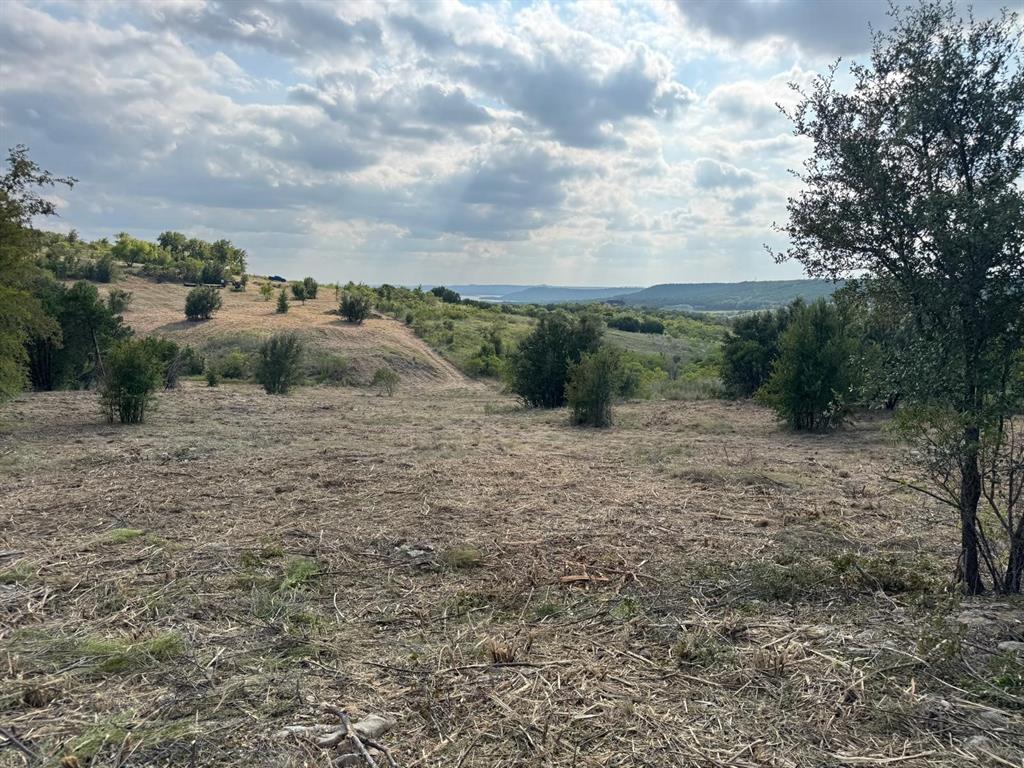 622 Caprock Court Graford, TX 76449 - Photo 23 of 26 a view of a dry yard with trees