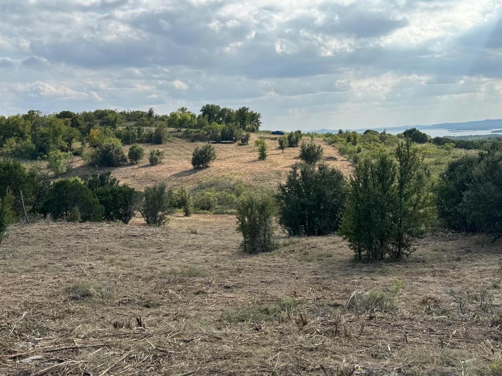 622 Caprock Court Graford, TX 76449 - Photo 24 of 26 a view of a dry yard with wooden fence