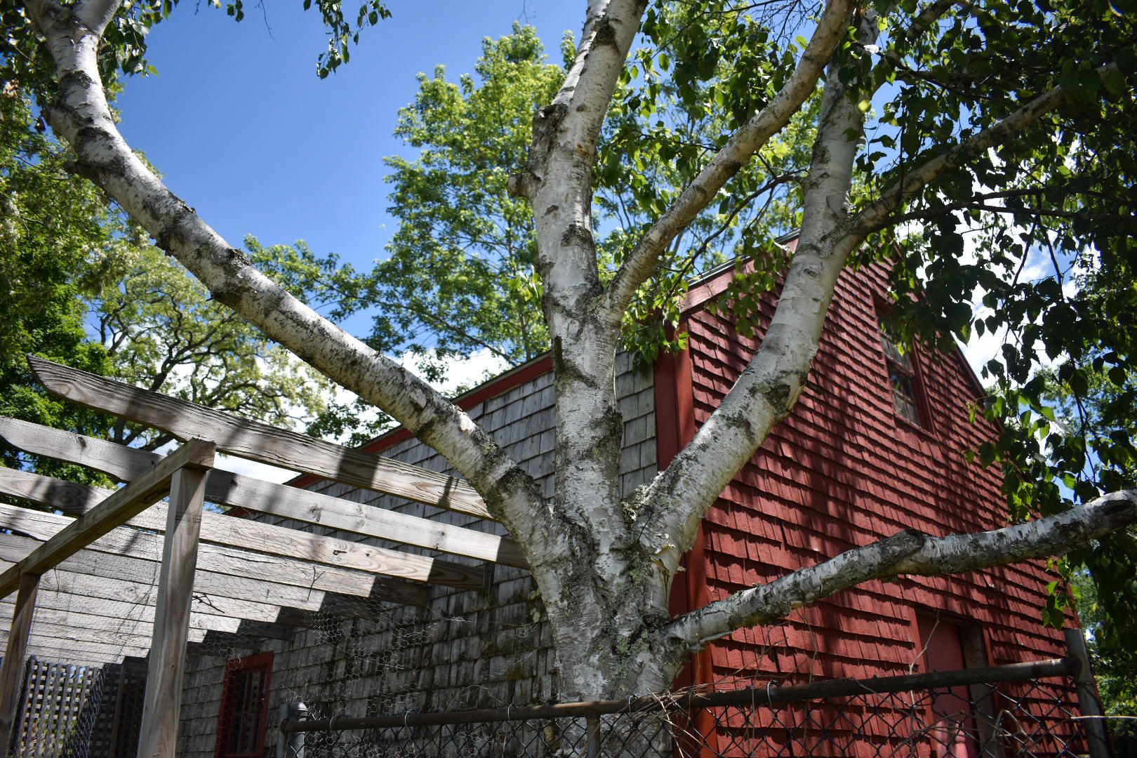 1075 Albion Road Unity, ME 04988 - Photo 172 of 187 Exterior-91