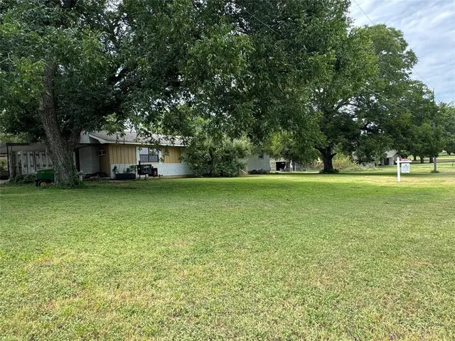 a view of a large garden with large trees