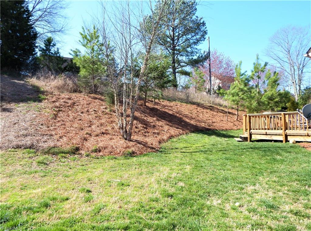6650 Ridge Run Court Clemmons, NC 27012 - Photo 30 of 30 Gallery Image 30