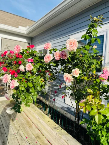 $415,000 | 107 Levis Song Court, Goose Creek, SC 29445