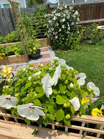 $415,000 | 107 Levis Song Court, Goose Creek, SC 29445