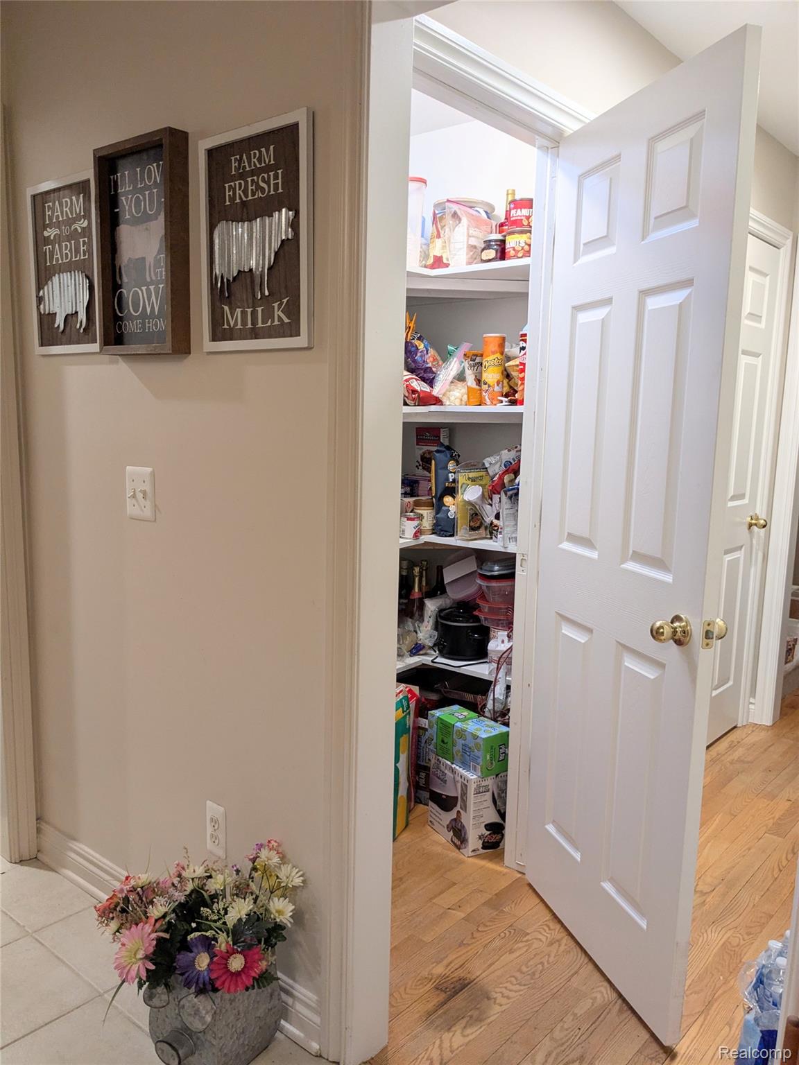 23233 30 Mile Road Ray, MI 48096 - Photo 9 of 73 Walk In, Lighted Pantry