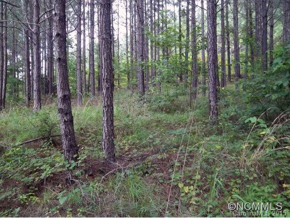 Lot 6 Contuck Ln Mill Spring Mill Spring, NC 28756 - Photo 3 of 18