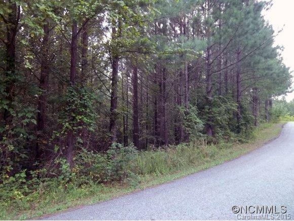 Lot 6 Contuck Ln Mill Spring Mill Spring, NC 28756 - Photo 4 of 18