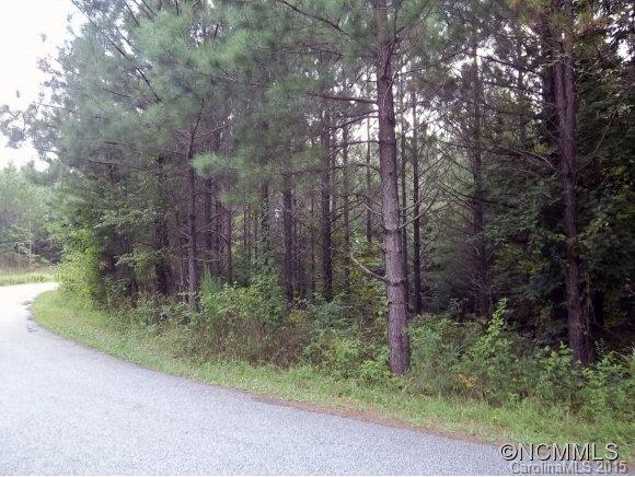 Lot 6 Contuck Ln Mill Spring Mill Spring, NC 28756 - Photo 5 of 18