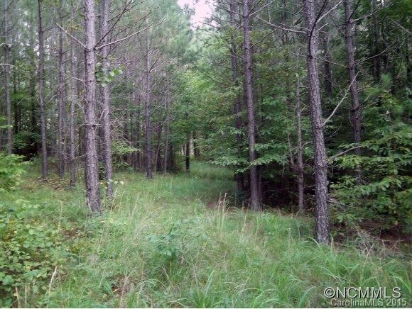 Lot 6 Contuck Ln Mill Spring Mill Spring, NC 28756 - Photo 7 of 18