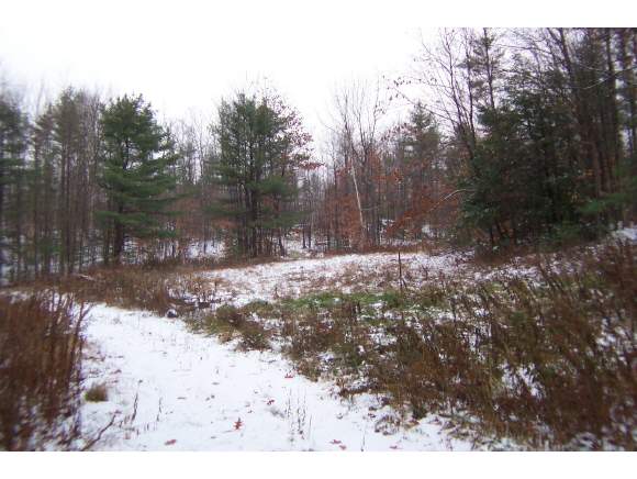 Center Road Goshen, NH 03752 - Photo 1 of 1