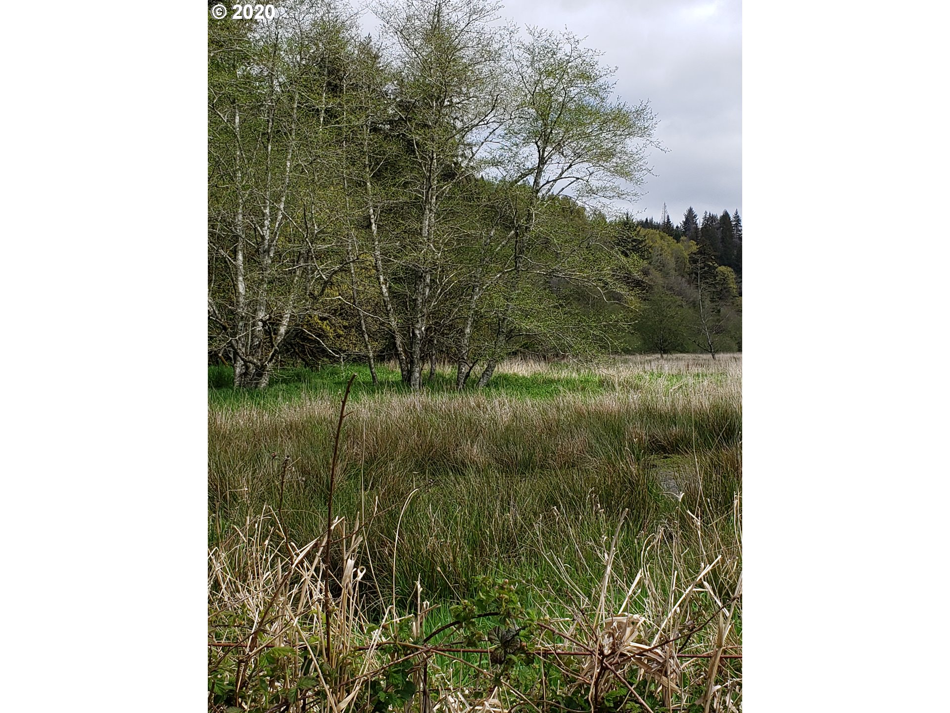 1045 Hidden Valley Road Toledo, OR 97391 - Photo 10 of 31 Gallery Image 10