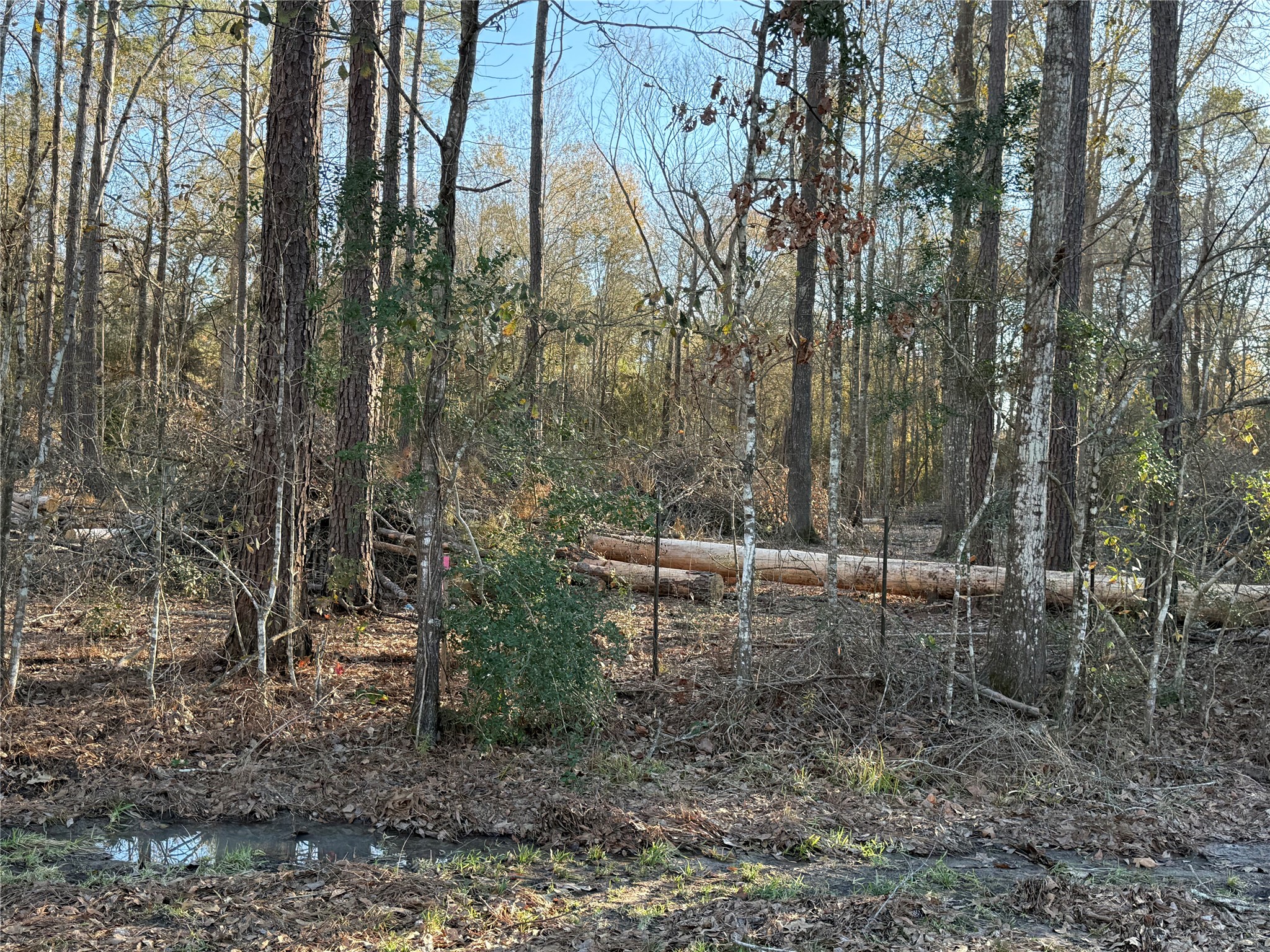 0 County Road 308 Cleveland, TX 77327 - Photo 2 of 6