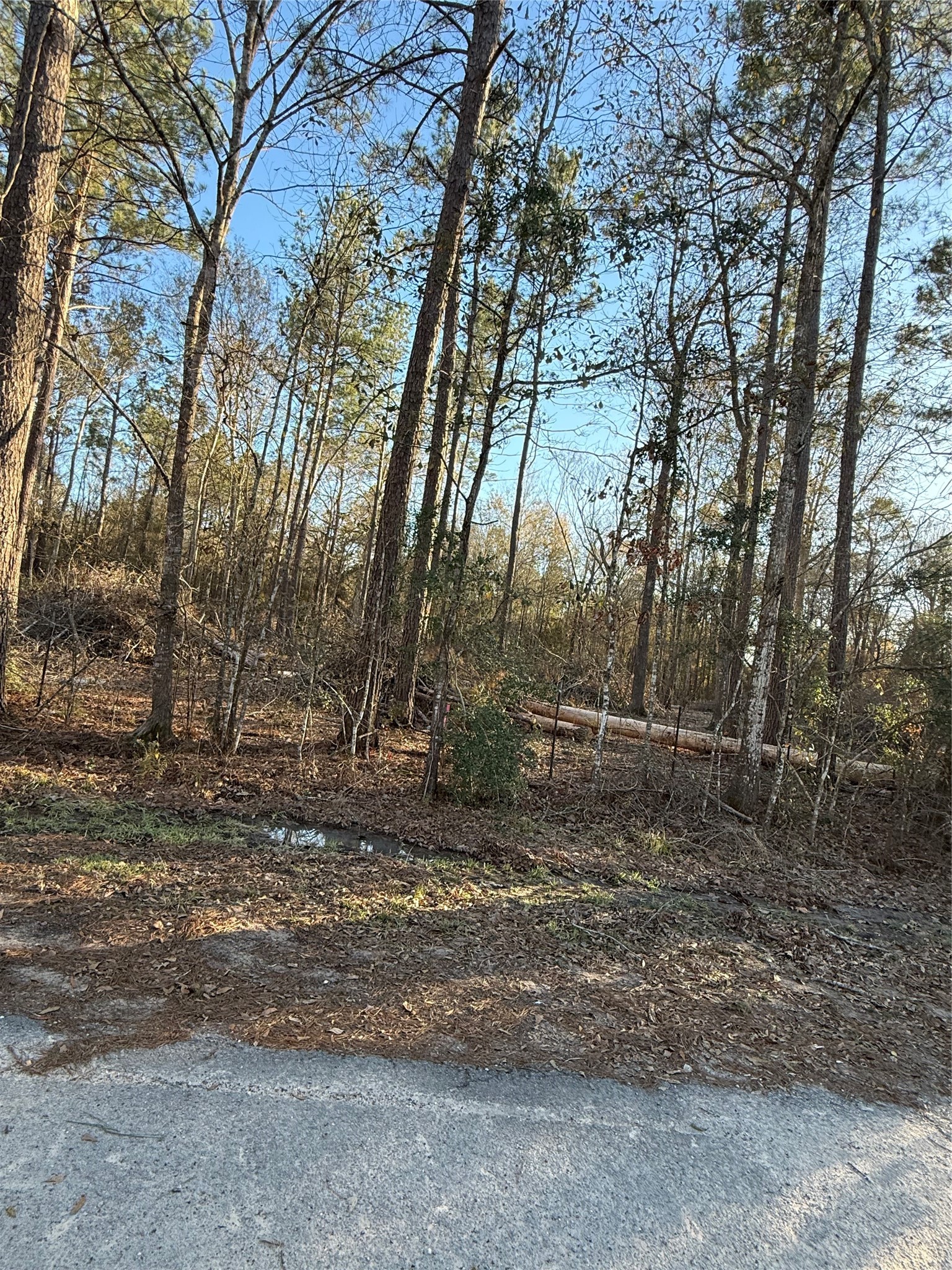 0 County Road 308 Cleveland, TX 77327 - Photo 3 of 6