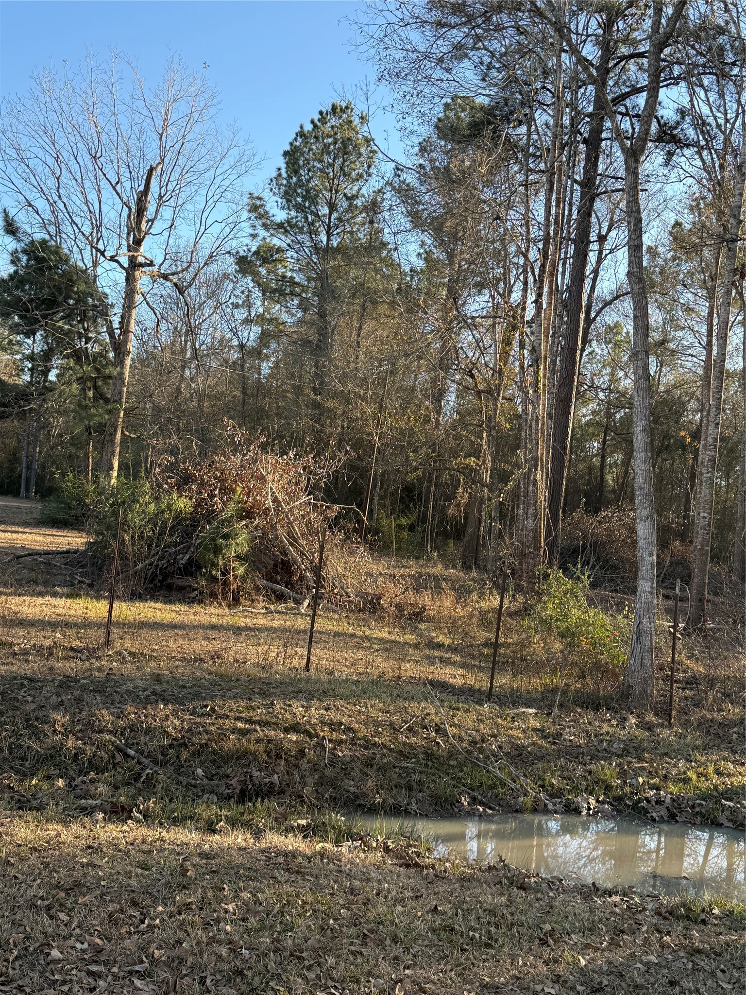 0 County Road 308 Cleveland, TX 77327 - Photo 5 of 6