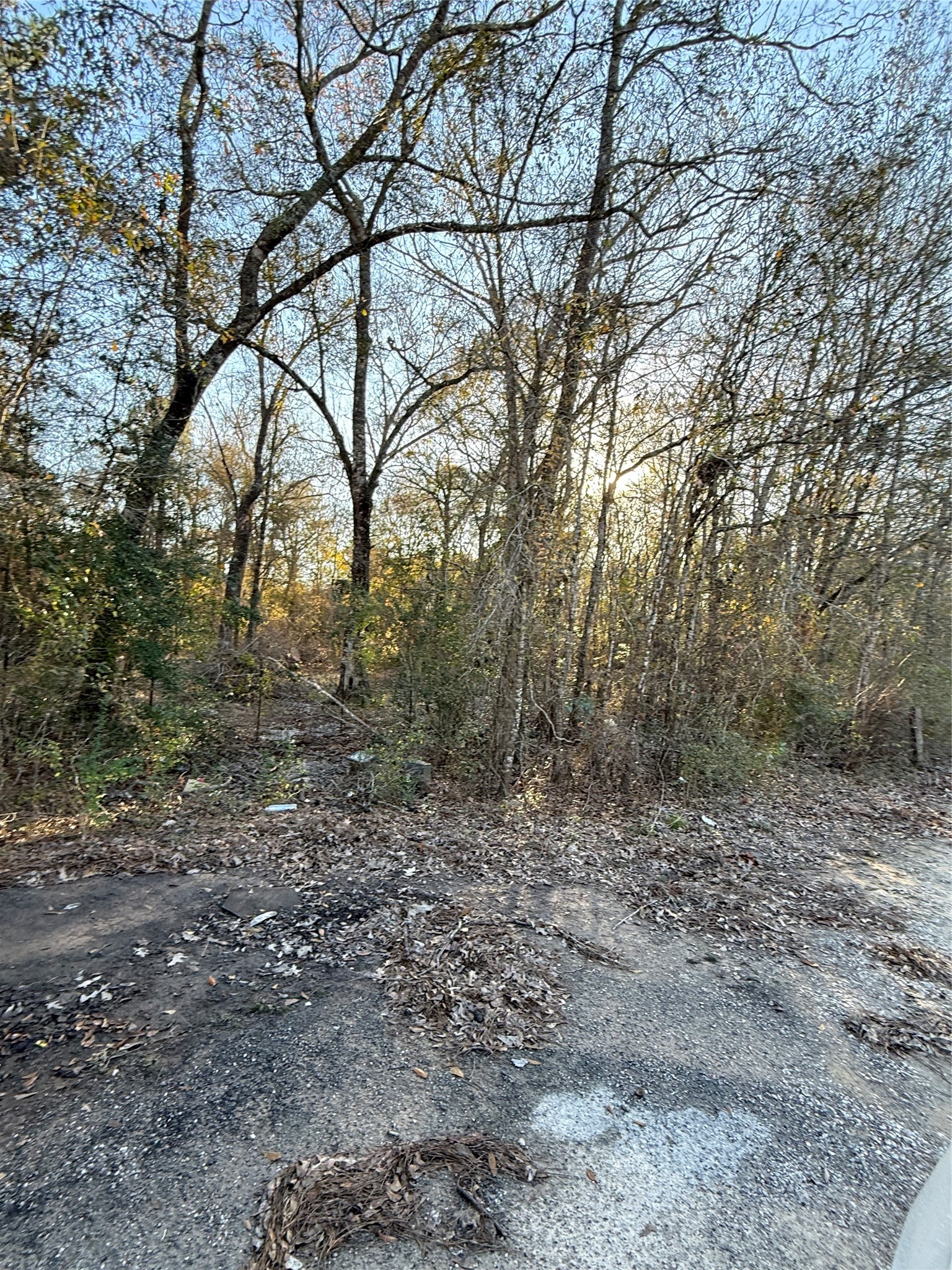 0 County Road 308 Cleveland, TX 77327 - Photo 6 of 6