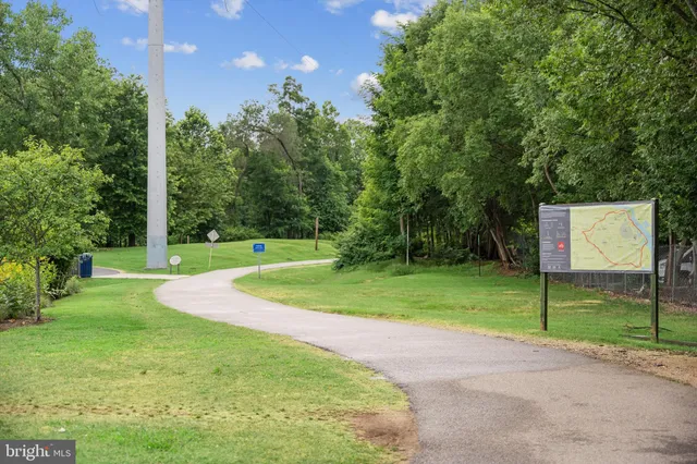 a view of a park with large trees