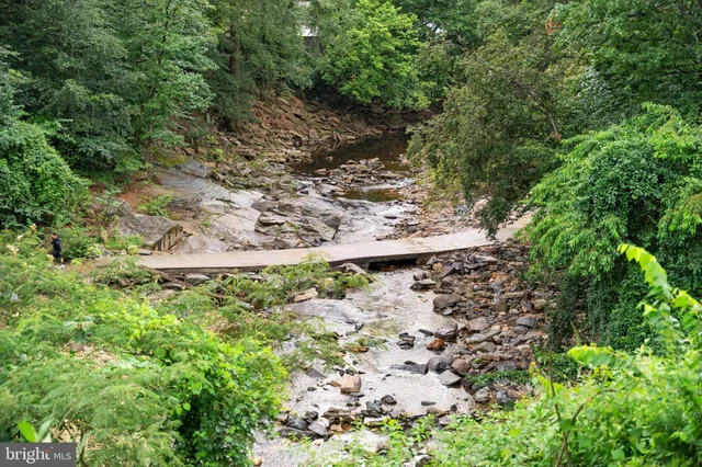 a view of a tree with a yard