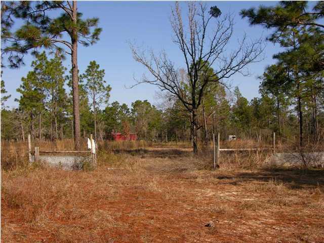 4555 Rainbird Rise Road Crestview, FL 32539 - Photo 21 of 32 a backyard of a house with lots of green space