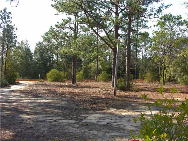 4555 Rainbird Rise Road Crestview, FL 32539 - Photo 3 of 32 a view of a backyard with large trees