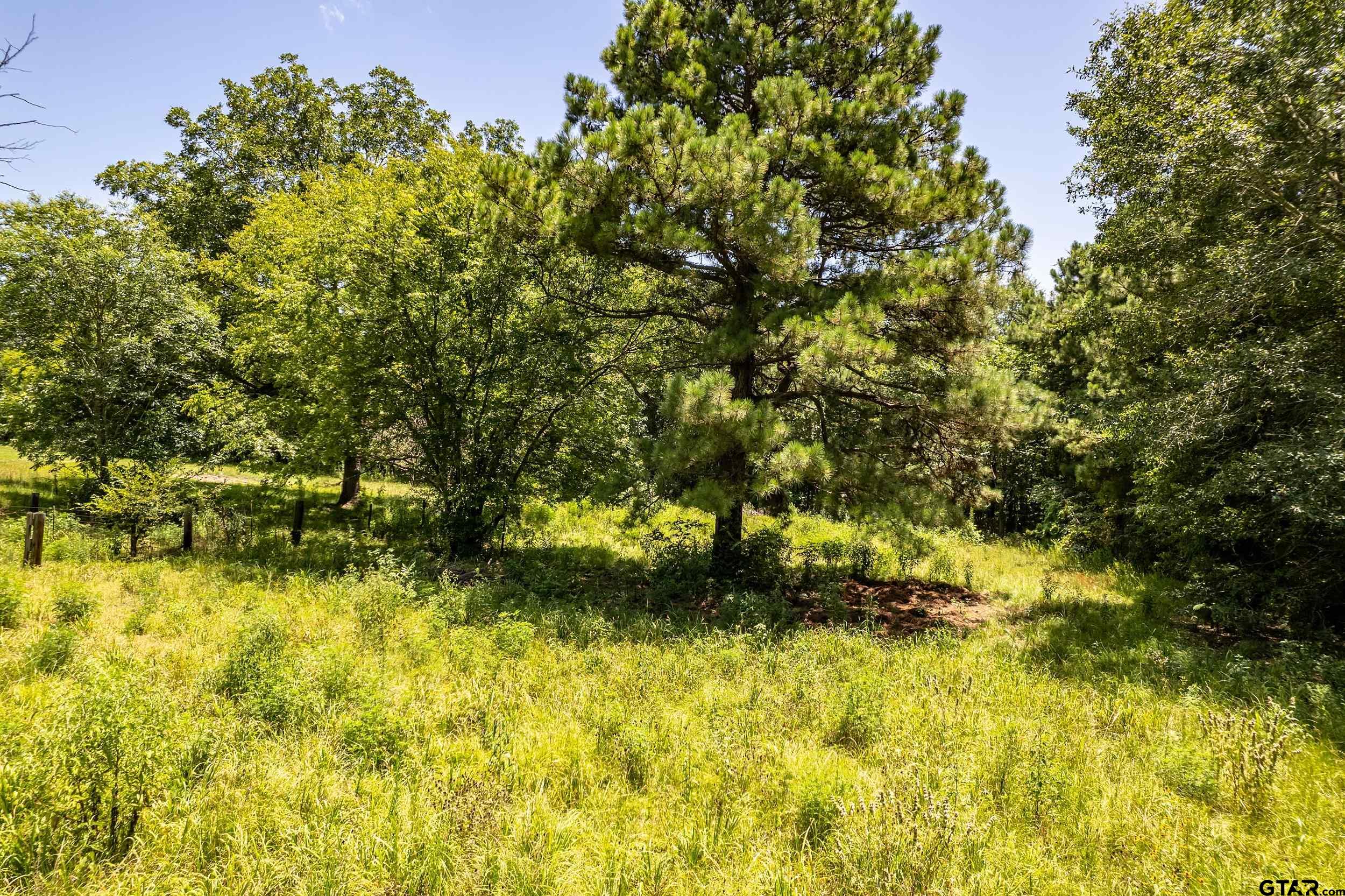 2780 Poppy Road Gilmer, TX 75644 - Photo 24 of 32