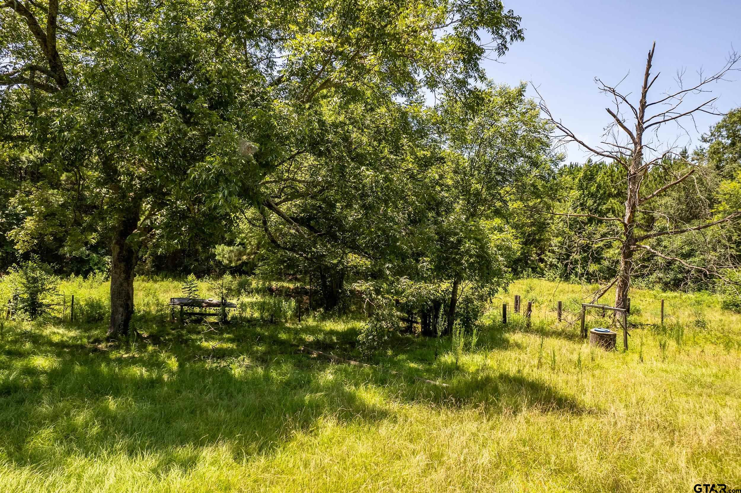 2780 Poppy Road Gilmer, TX 75644 - Photo 26 of 32