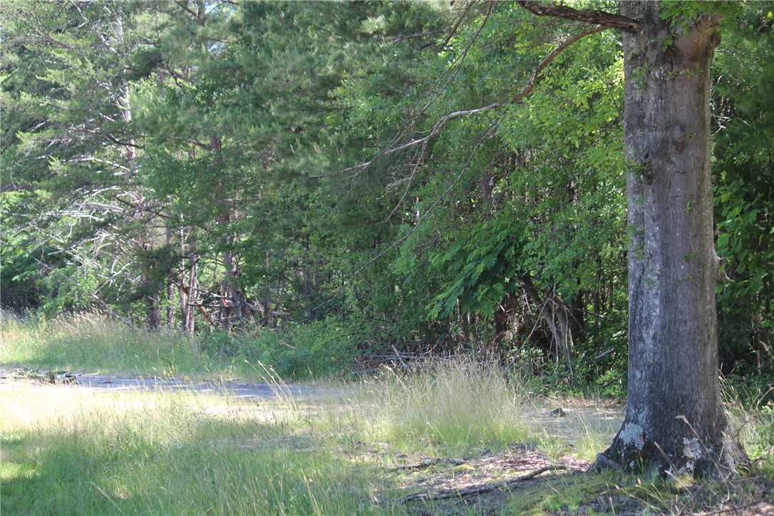830 Burnt Tanyard Road Salem, SC 29676 - Photo 3 of 14 Gallery Image 3