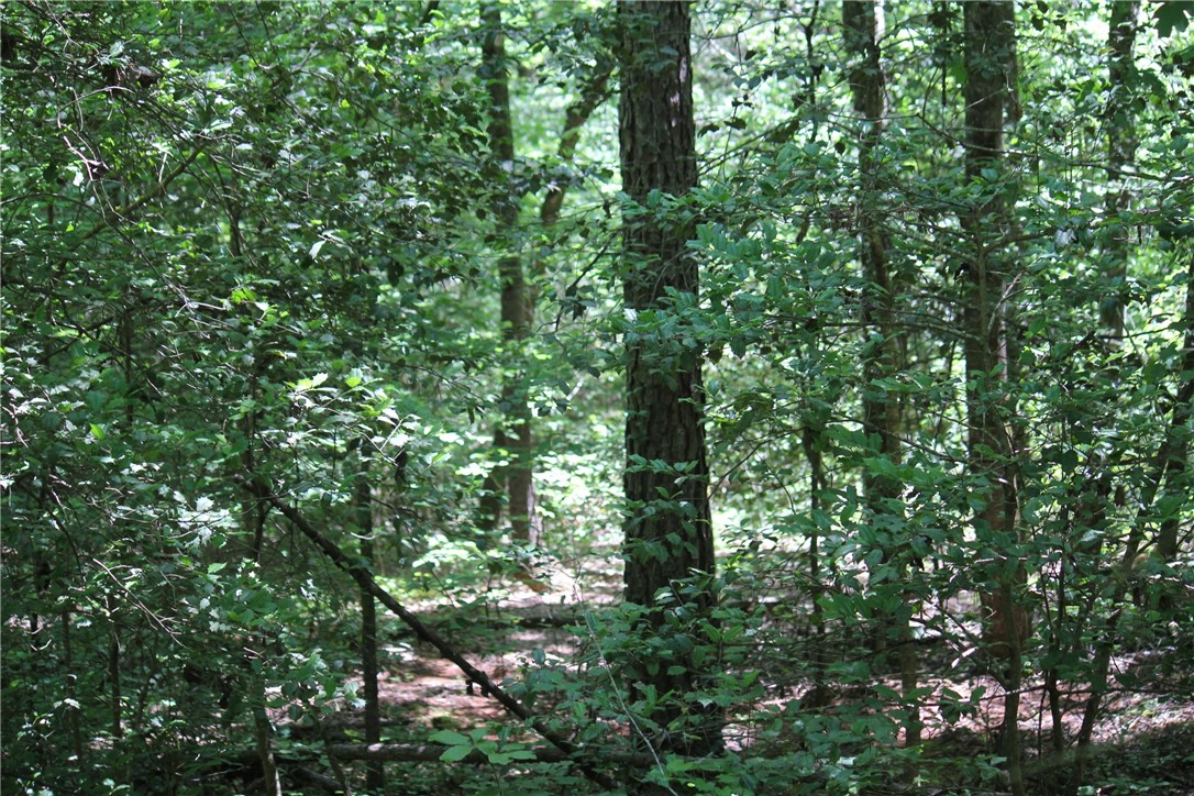 830 Burnt Tanyard Road Salem, SC 29676 - Photo 8 of 14 Gallery Image 8