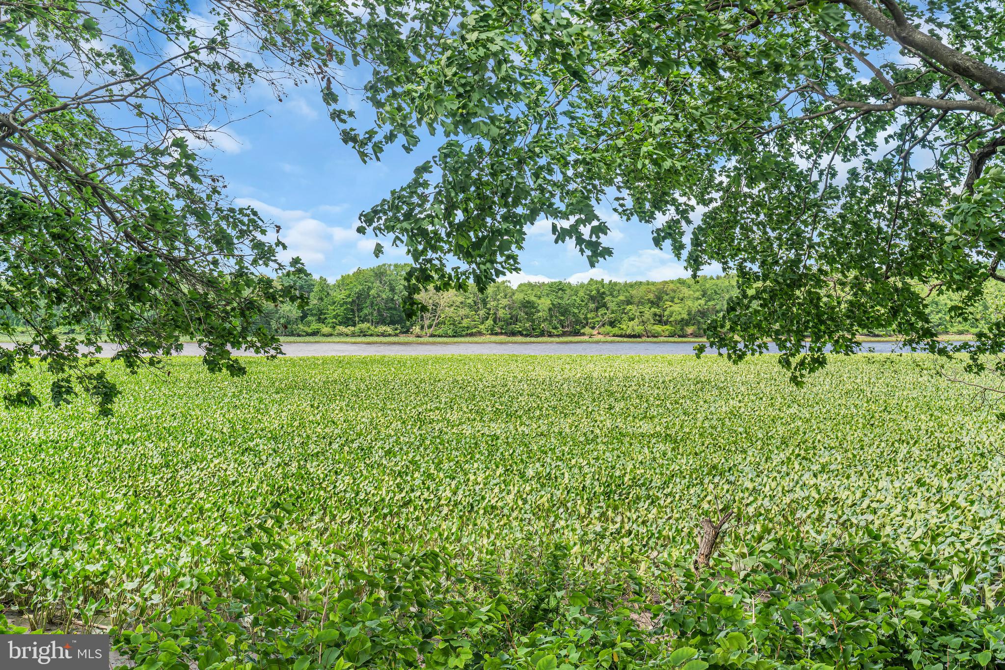 516 River Drive Riverside, NJ 08075 - Photo 66 of 82