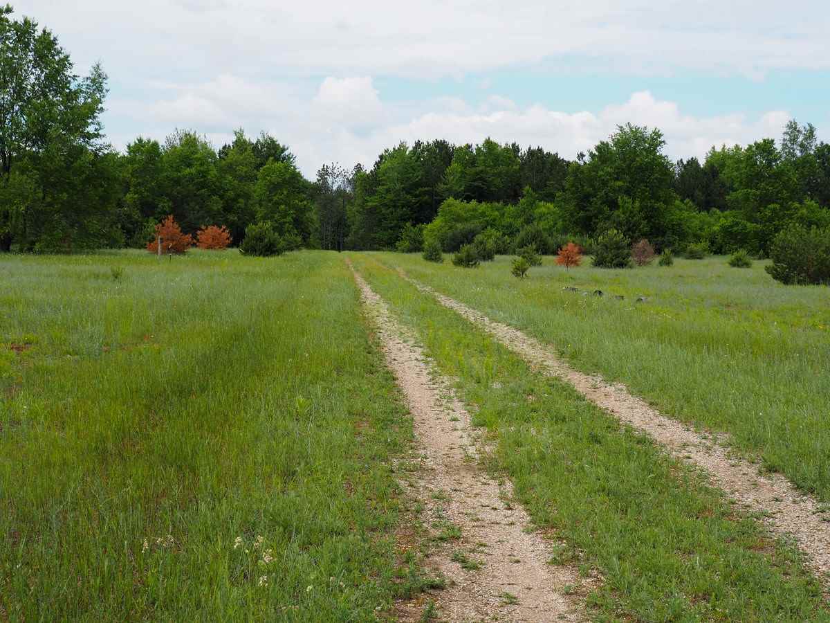 669 Rd Thompsonville Mi 49683 Road Beulah, MI 49617 - Photo 12 of 17