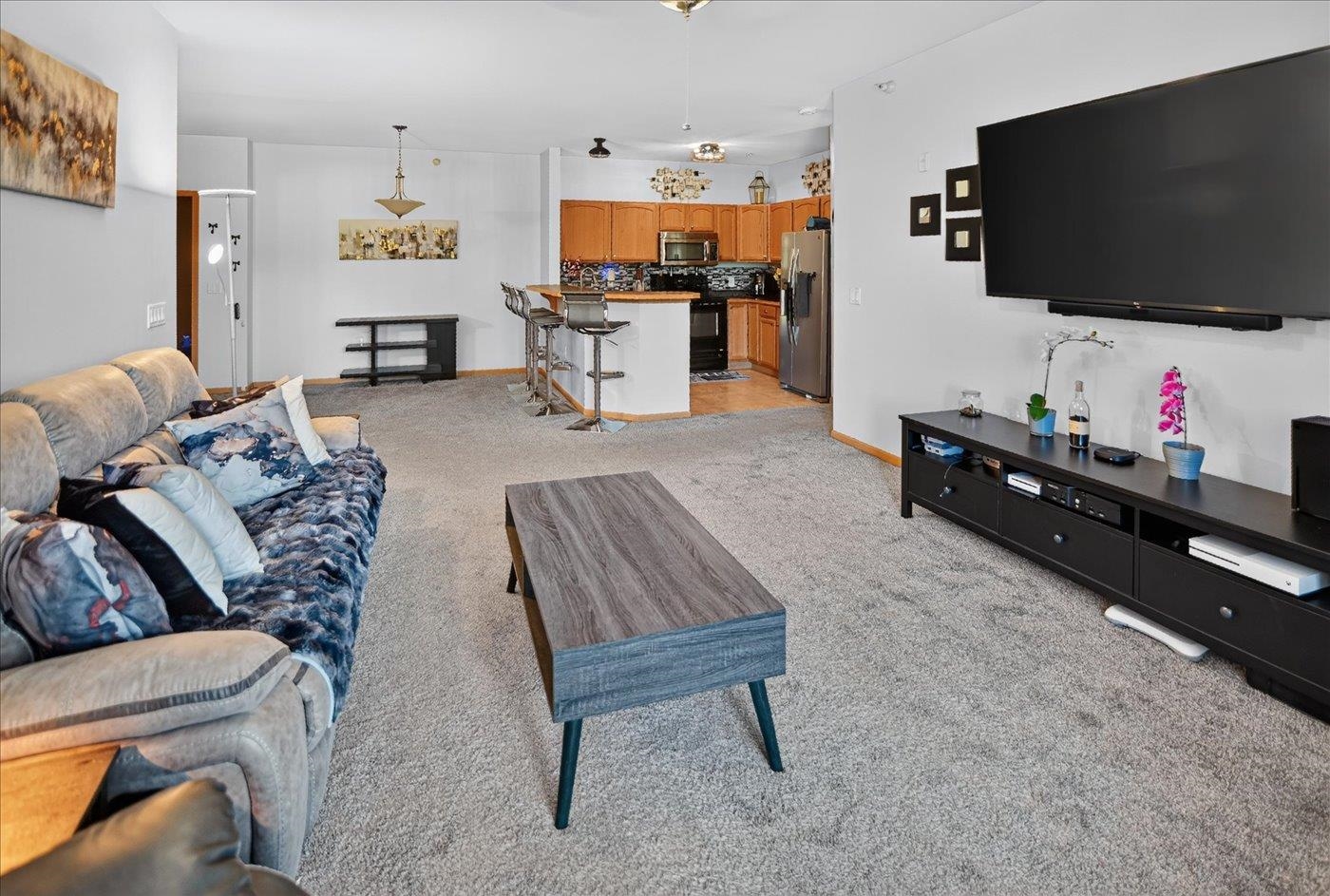 141 Metro Terrace, Unit 203 Madison, WI 53718 - Photo 21 of 48