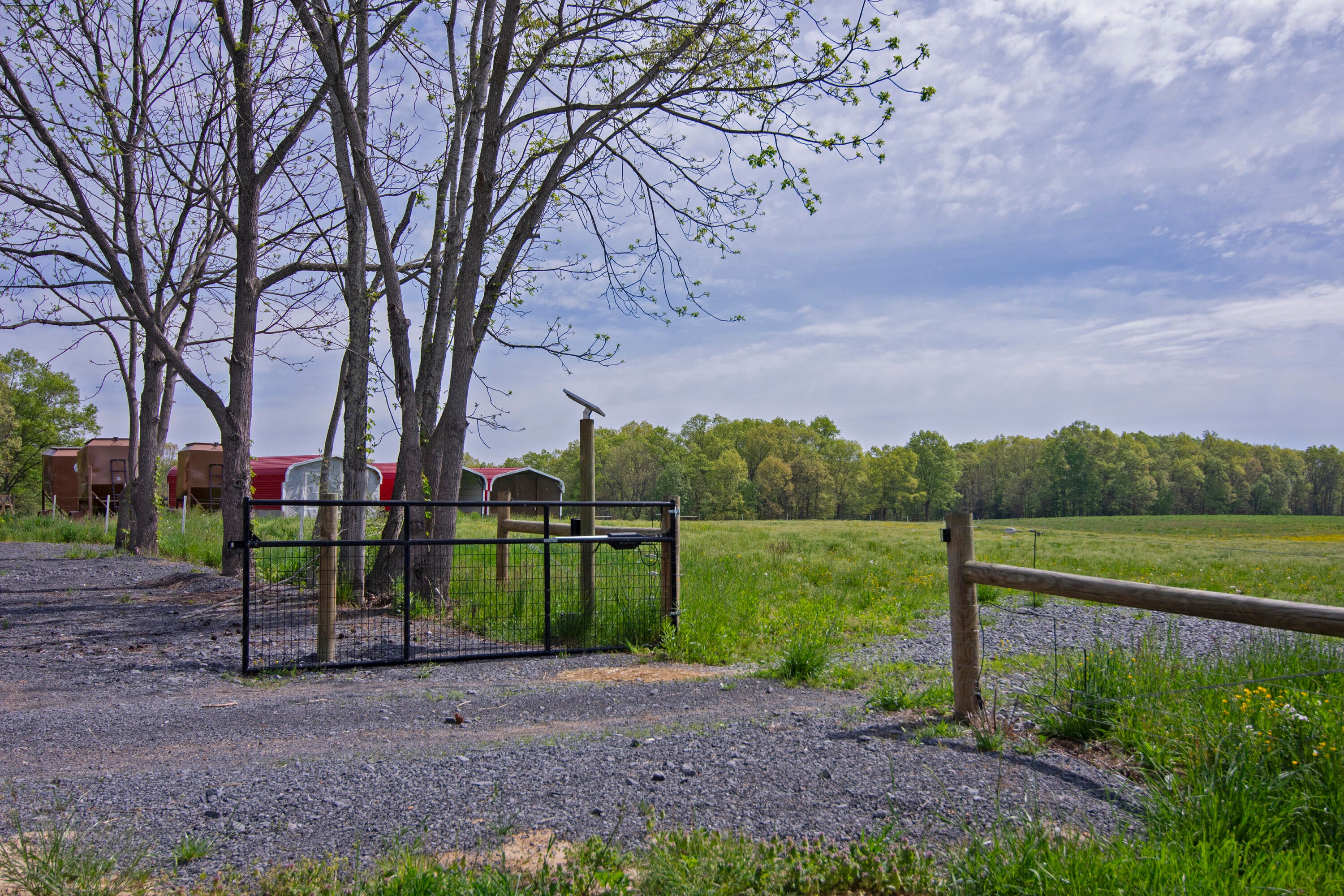 2569 Anthony Road Frankford, WV 24938 - Photo 76 of 133 Gallery Image 76