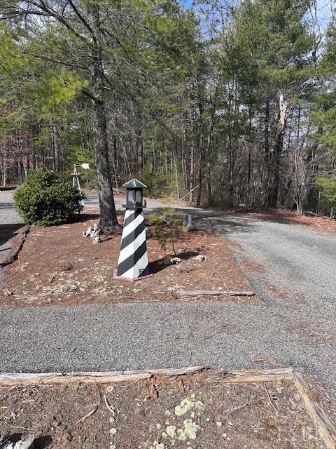 295 Blue Ridge Lane Monroe, VA 24574 - Photo 3 of 5
