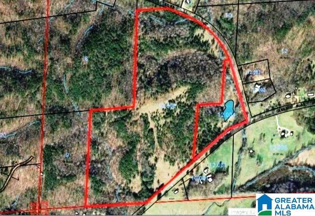 82-acres Creed Road, Unit 82 ACRES Lineville, AL 36266 - Photo 16 of 20