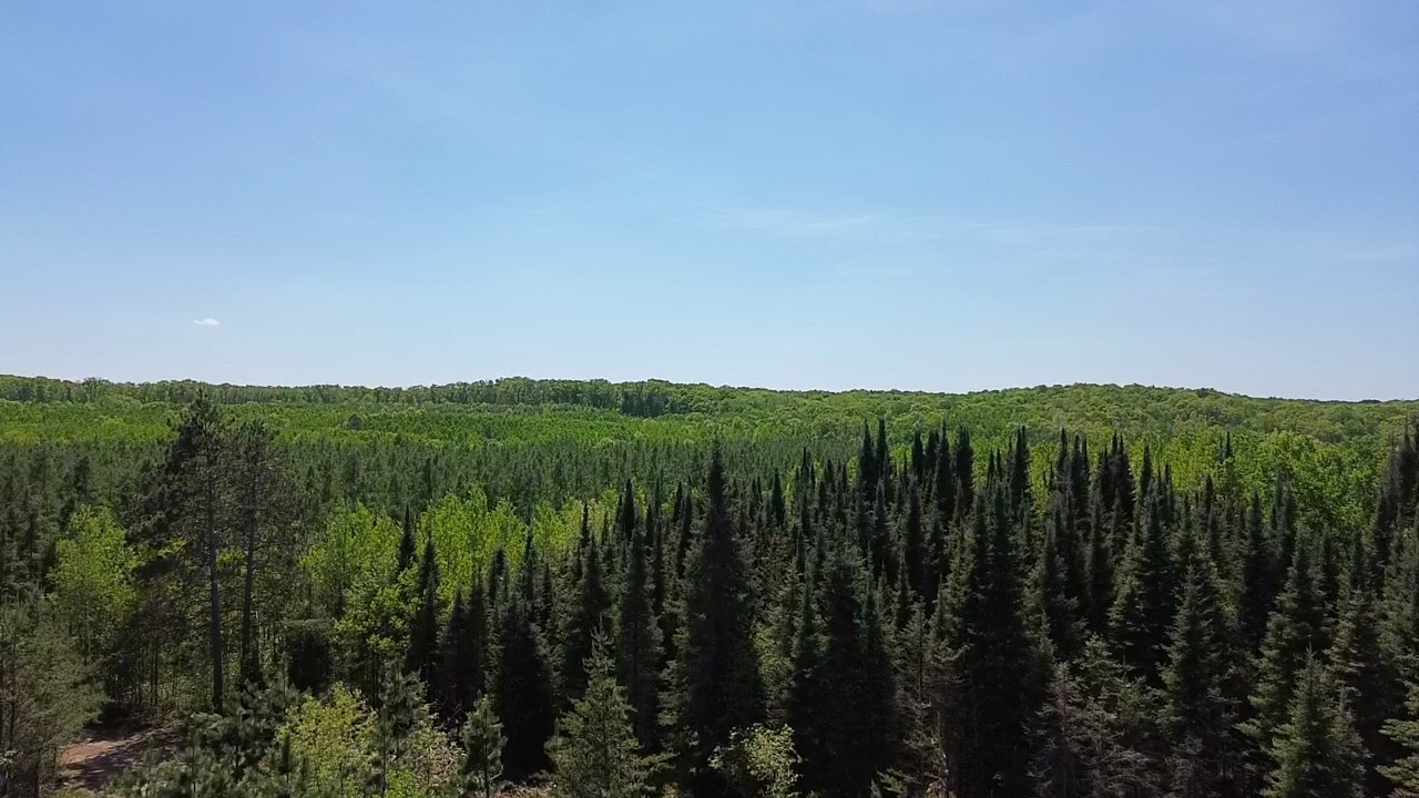 349 X 5th Avenue Shell Lake, WI 54871 - Photo 14 of 37