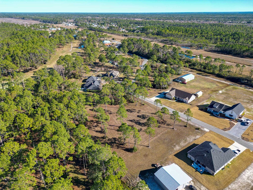 Lot 10 Cape Plantation Road Port St. Joe, FL 32456 - Photo 3 of 5 Gallery Image 3