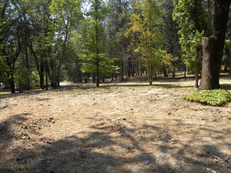 2450 Coachman Road Mariposa, CA 95338 - Photo 6 of 9 Gallery Image 6