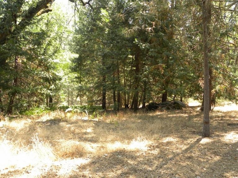 2450 Coachman Road Mariposa, CA 95338 - Photo 8 of 9 Gallery Image 8