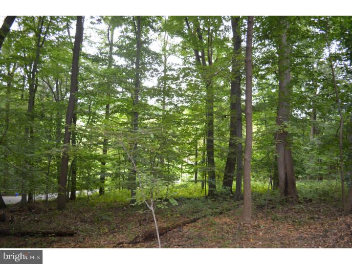 3034 Wells Road Malvern, PA 19355 - Photo 20 of 24 Gallery Image 20