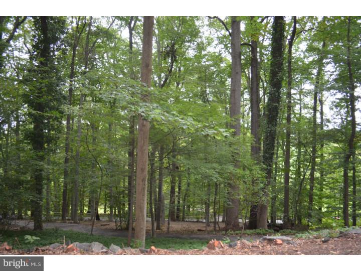 3034 Wells Road Malvern, PA 19355 - Photo 21 of 24 Gallery Image 21