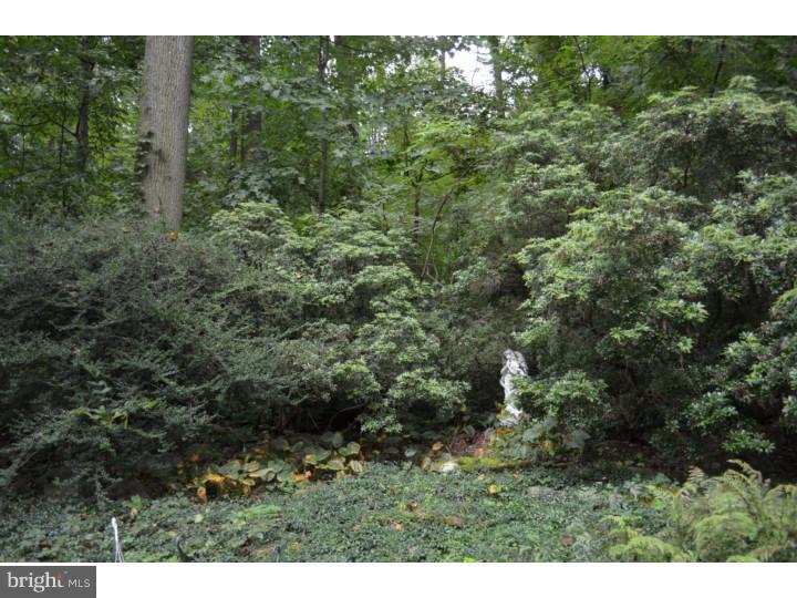3034 Wells Road Malvern, PA 19355 - Photo 22 of 24 Gallery Image 22
