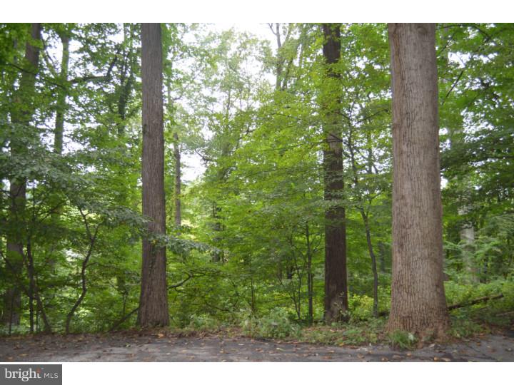 3034 Wells Road Malvern, PA 19355 - Photo 23 of 24 Gallery Image 23