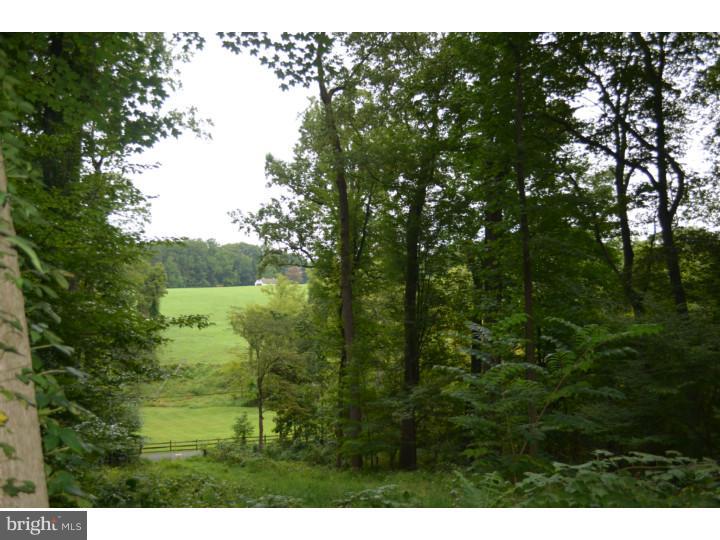 3034 Wells Road Malvern, PA 19355 - Photo 24 of 24 Gallery Image 24