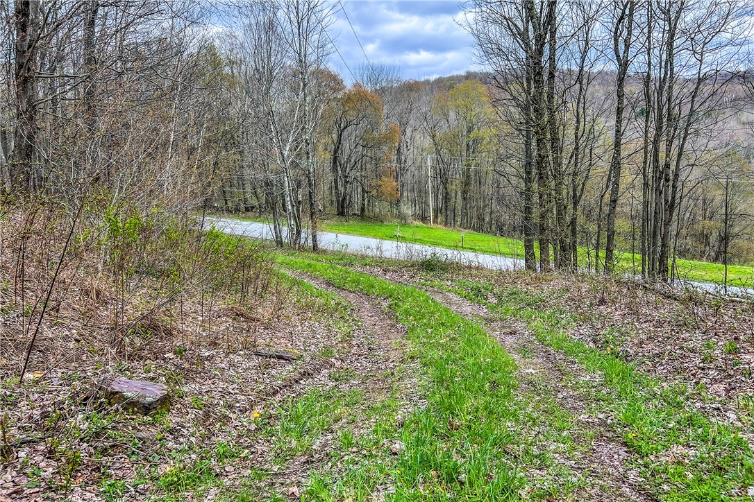 Lot 3 Brownell Road Bloomville, NY 13739 - Photo 5 of 35