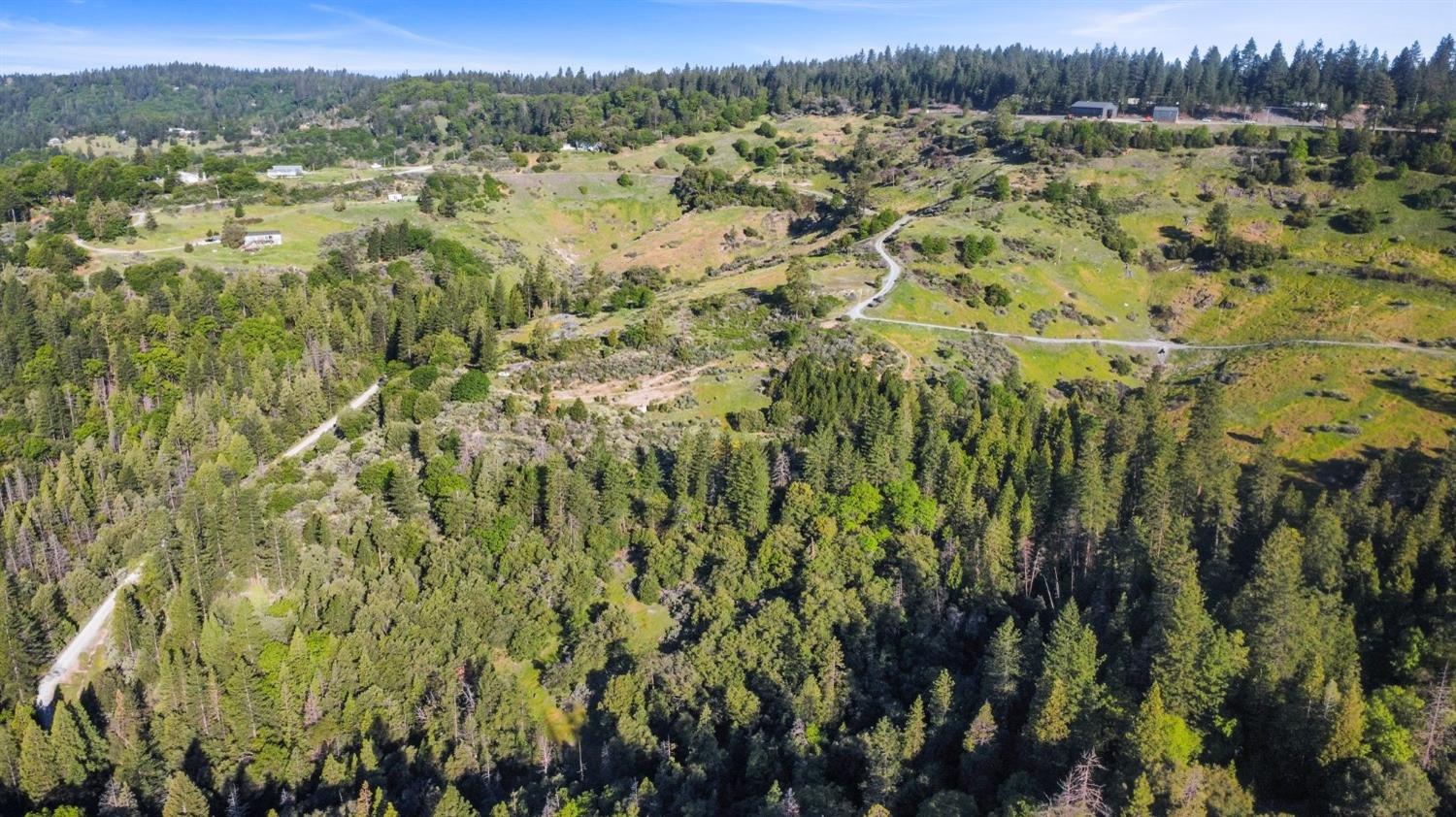5281 8 Mile Road Camino, CA 95709 - Photo 11 of 20 a view of a bunch of trees and bushes